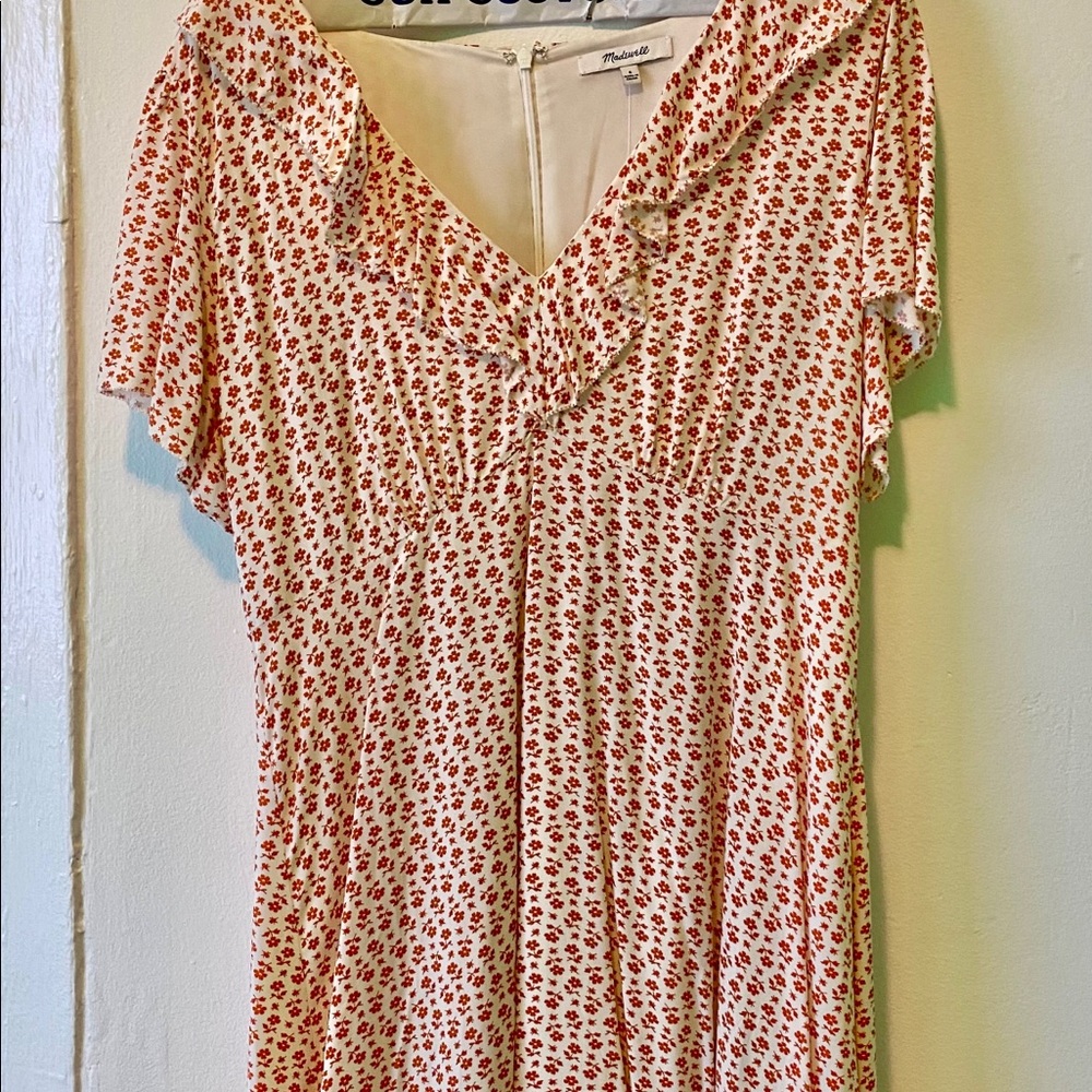 Ruffle Flutter-Sleeve Dress (Madewell)